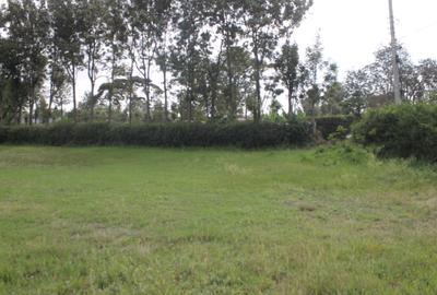 0.10 ha Residential Land at Rimpa Road - 3