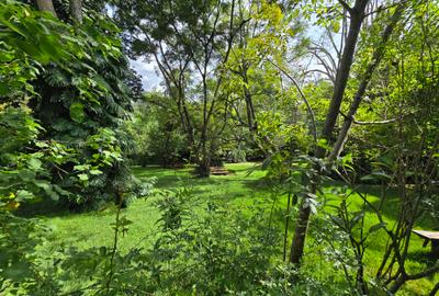 4 Bed House with En Suite in Runda - 4