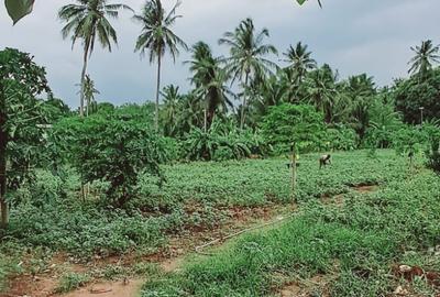 Land in Kikambala