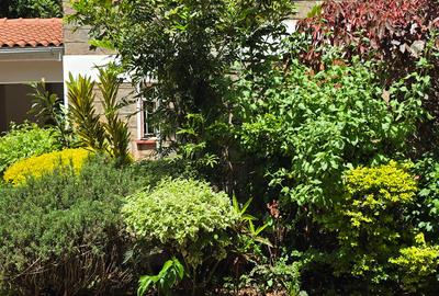 5 Bed Townhouse with En Suite at Lavington Green - 2