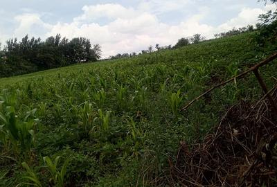 0.75 ac Land at Kibiko Ngong