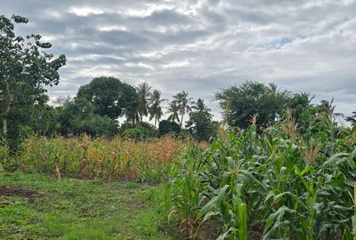 6 ac Land at Bomani - 4