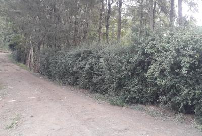 0.17 ha Land at Ngong