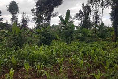 1.25 ac Land in Ngong