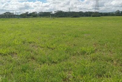 0.125 ac Land at Salgaa