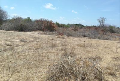 1 ac Land at Msumarini - 4