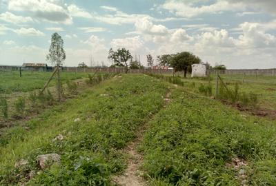 Residential Land at Enkasiti