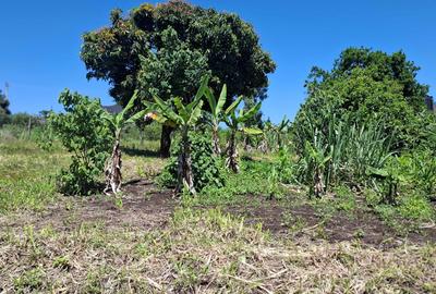 Residential Land at Olkeri