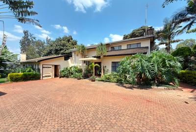 Commercial Property with Parking in Lavington - 4