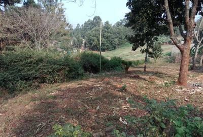 0.25 ac Land at Next To Ack St. Mary