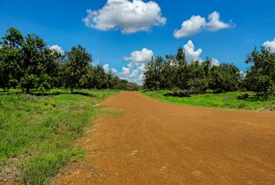 0.125 ac Residential Land at Gatanga Road