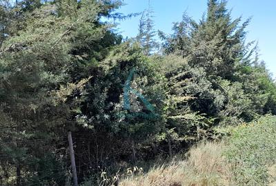 3 ac Land in Nanyuki