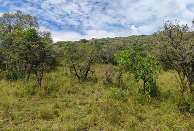 Land in Narok