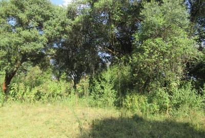 9 ac Land at Karen - 4