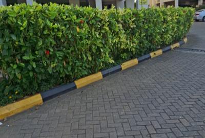 Serviced 4 Bed Apartment with En Suite at Nyali Mombasa - 3