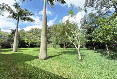 4 Bed House with En Suite in Karen - 3