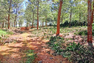 500 m² Residential Land at Oaklands