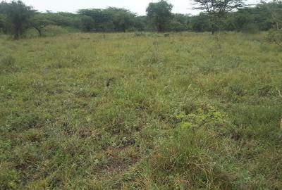 6 ac Land in Ongata Rongai