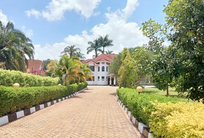 5 Bed House with Swimming Pool in Nyari
