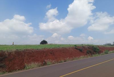 5 ac Land at Near Tatu City