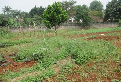 Residential Land at Runda