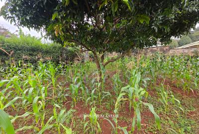 0.5 ac Land in Runda - 2