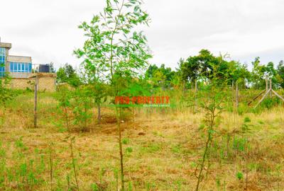 0.05 ha Residential Land at Kamangu