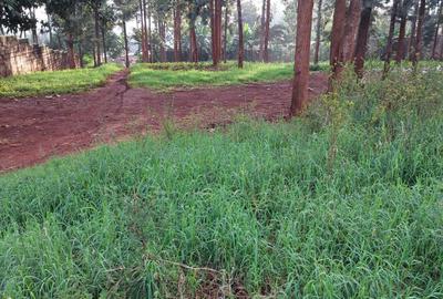 0.75 ac Residential Land at Thindigua