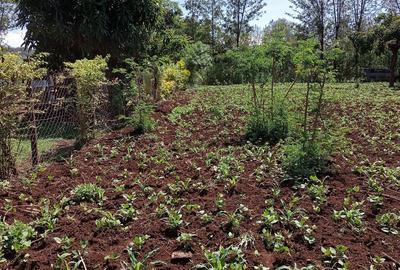 0.045 ha Residential Land at Kikuyu Kamangu