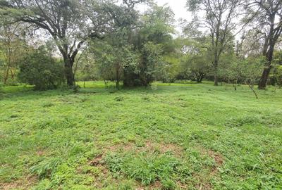 5 ac Land at Miotoni