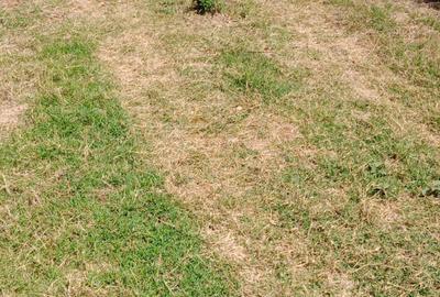 10 ac Land at Mweiga - 4