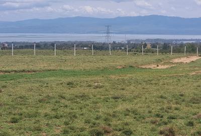 Land at Lake Naivasha