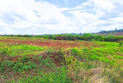 1 ac Commercial Land at Mugutha