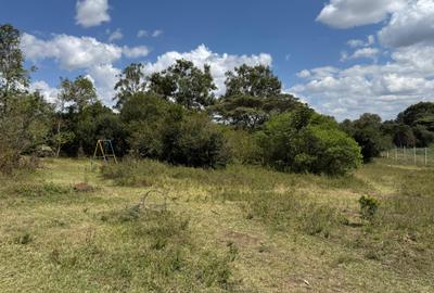 1 ac Land in Karen - 3