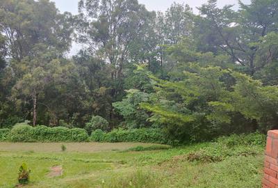 2.8 ac Land at Farasi Lane