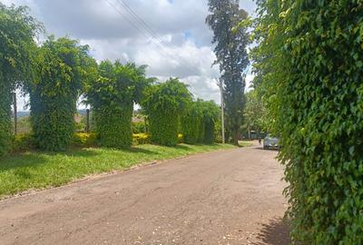 0.5 ac Land in Runda