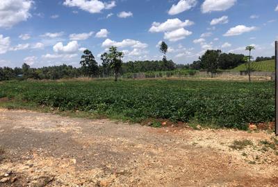 0.5 ac Land at Mumwe