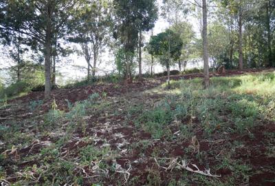 1.18 ac Residential Land at Upper Matasia