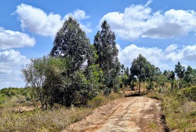 0.125 ac Residential Land at Nachu - 4