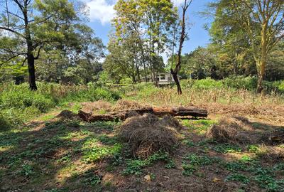 Residential Land at Spring Valley Lower Kabete - 2