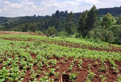 0.5 ac Residential Land at Nderi Mega