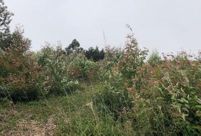 Land in Tigoni