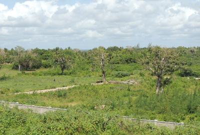 1,012 m² Residential Land at Diani Beach Road