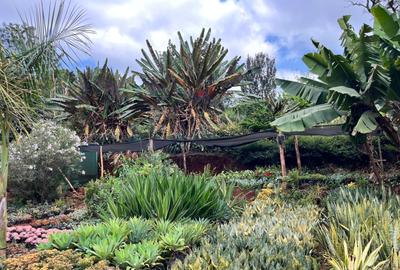 1 ac Land in Nyari - 3