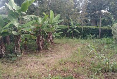 50.100 ft² Land in Ngong - 2
