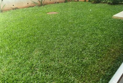 4 Bed Townhouse with En Suite at Two Rivers - 3