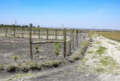 Residential Land at Kitengela Kisaju Spring Gardens