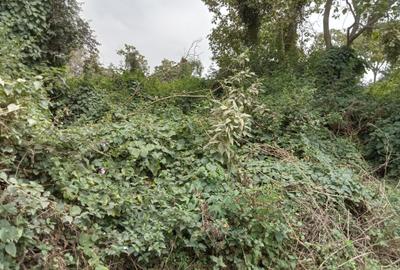 Residential Land at Oloolua Ridge - 3