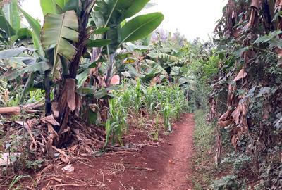 0.5 ac Land in Ruaka