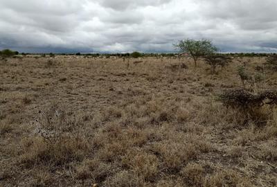 50 ac Land in Konza City - 4